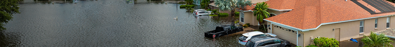 Header_Flood-Excess.png